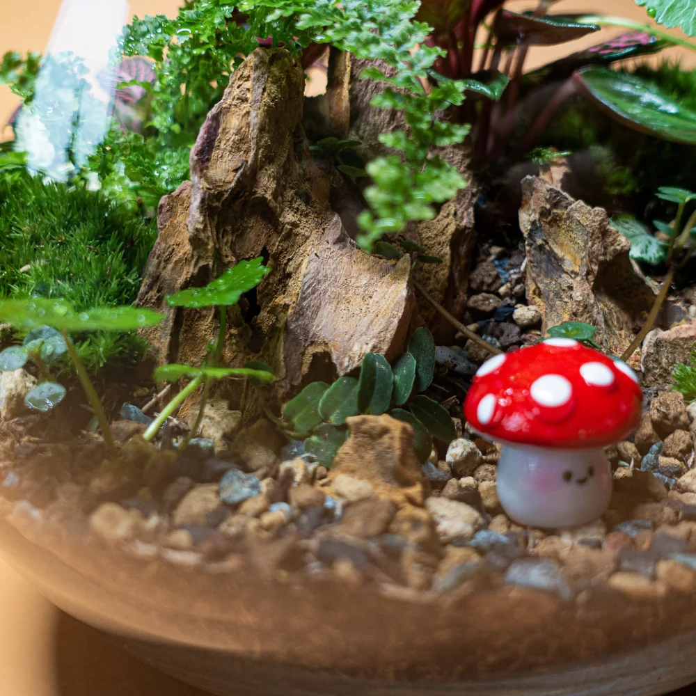 terariu mediu plante naturale small orb