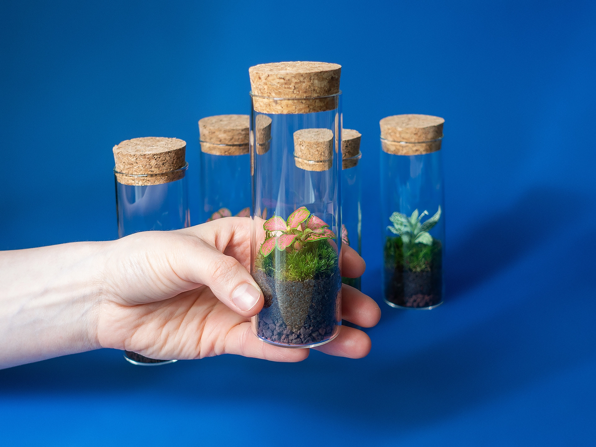 The Mini - imagine 2