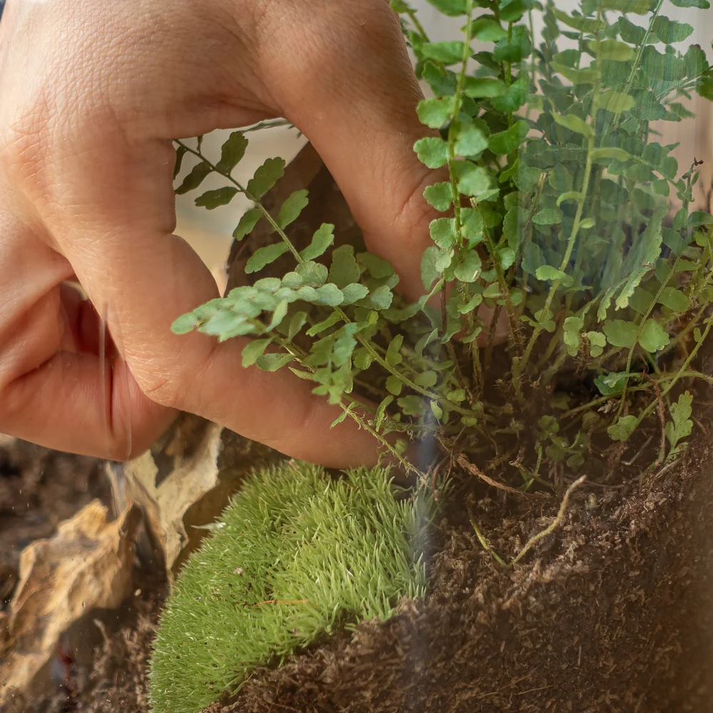 instructiuni Kit pentru terariu M 13