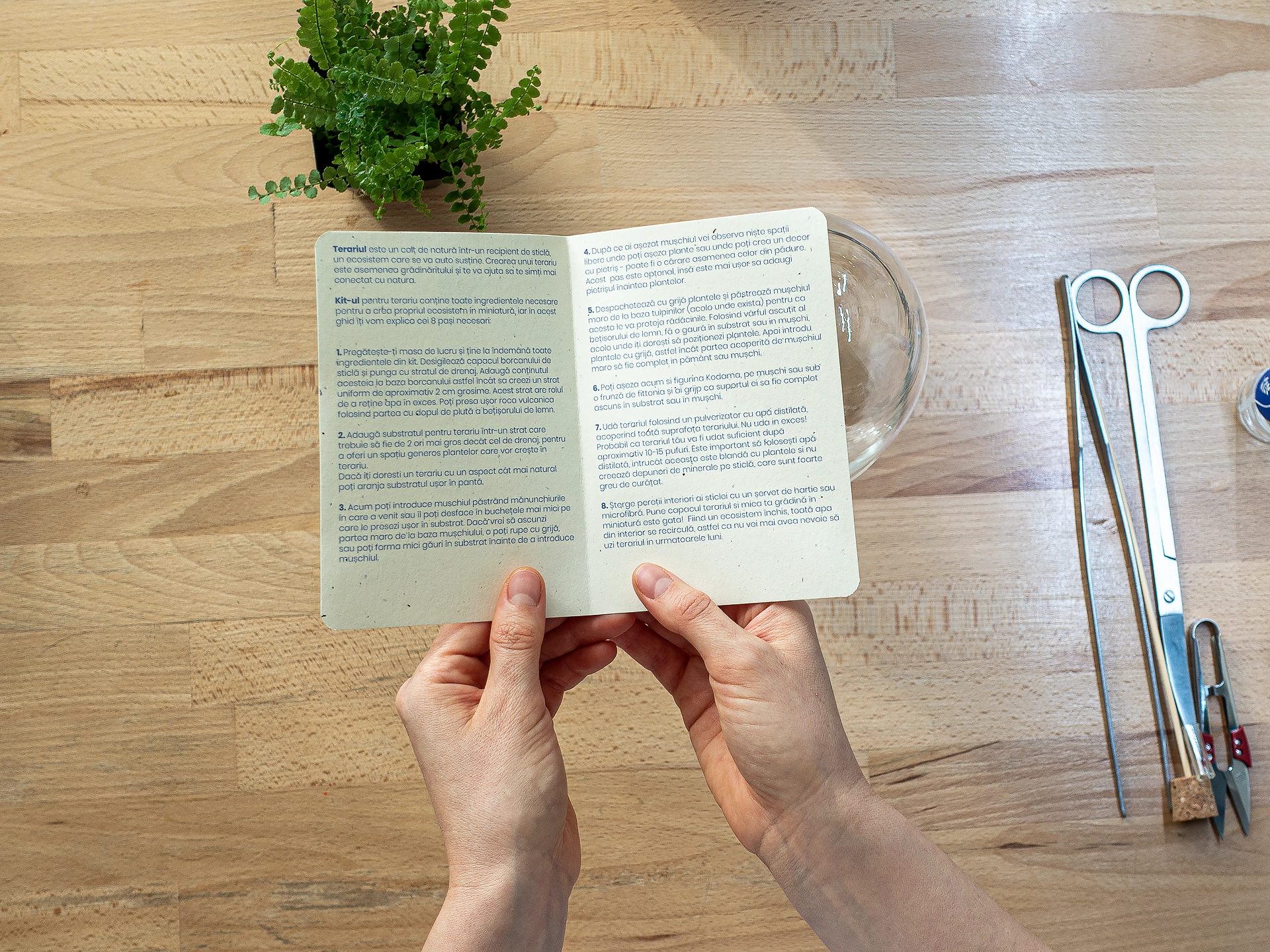 instructiuni Kit pentru terariu S 01