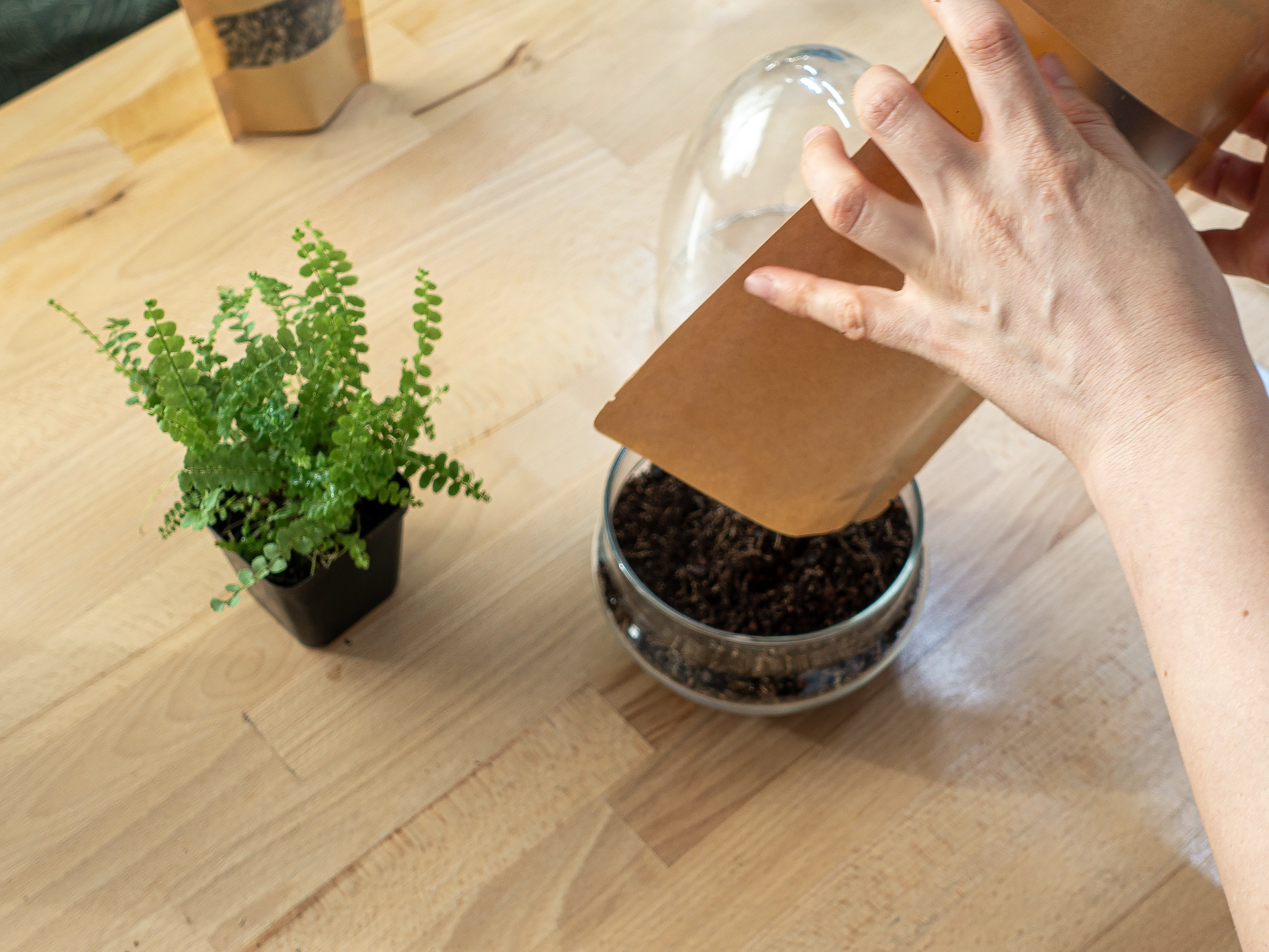 instructiuni Kit pentru terariu S 04