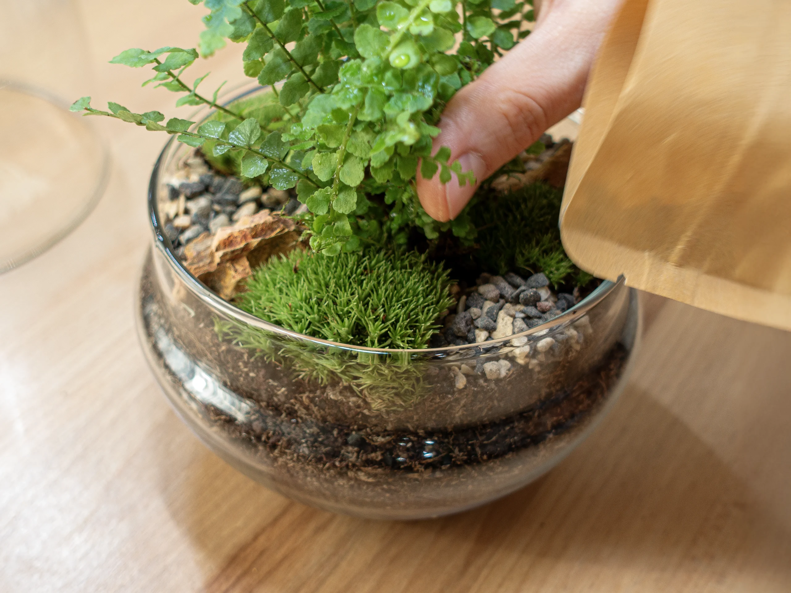 instructiuni Kit pentru terariu S 12