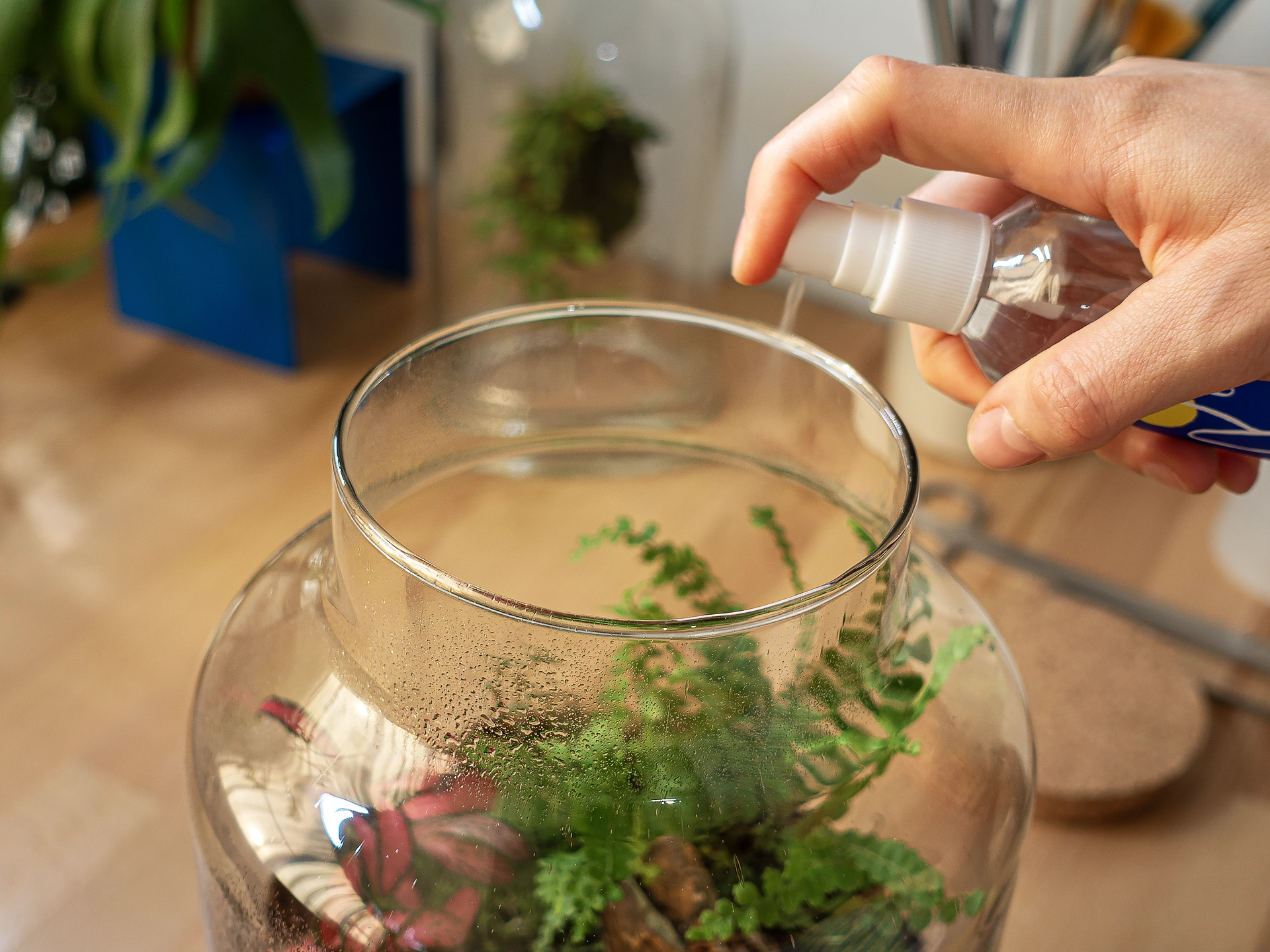 instructiuni Kit pentru terariu M 25