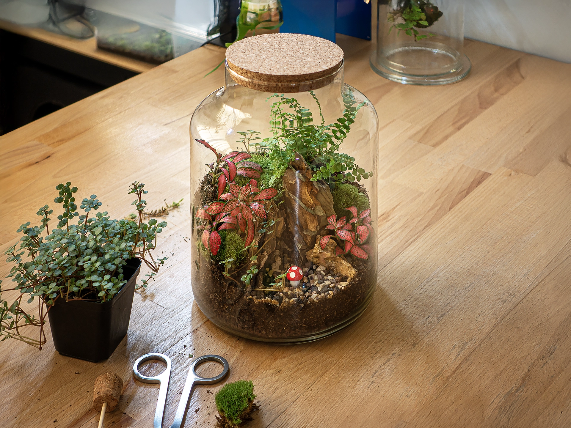 instructiuni Kit pentru terariu M 26