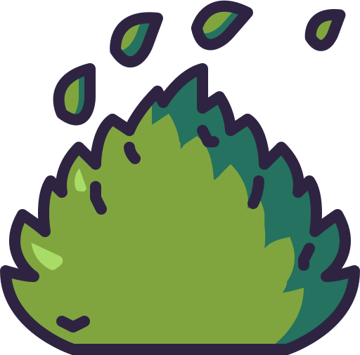 muschi micro terariu plante naturale tropicale minima terra