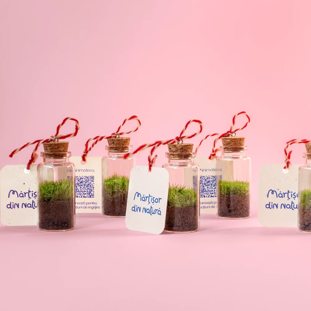 SET DE 5 MĂRȚIȘOARE MINI TERARIU