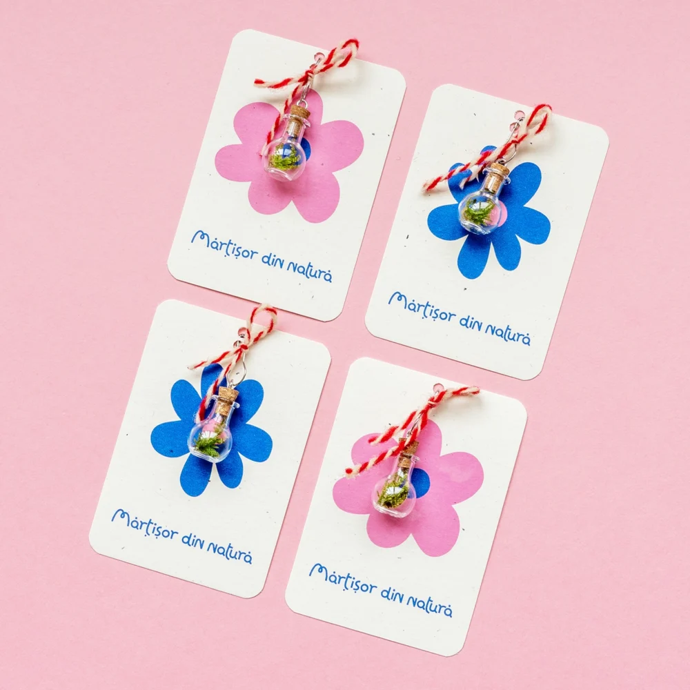 martisor mini terariu plante naturale