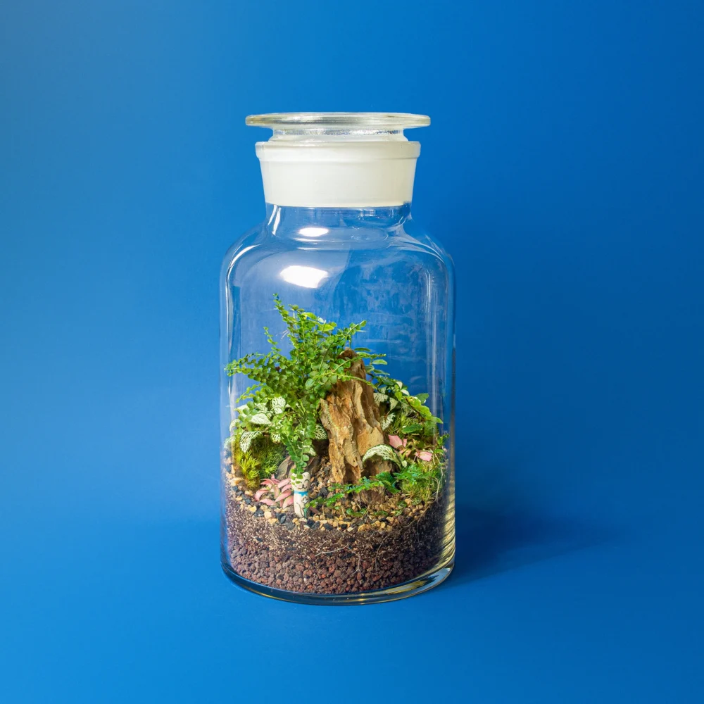 Terariu The Apothecary XL ecosistem de dimensiuni mari cu pisicuta ceramica