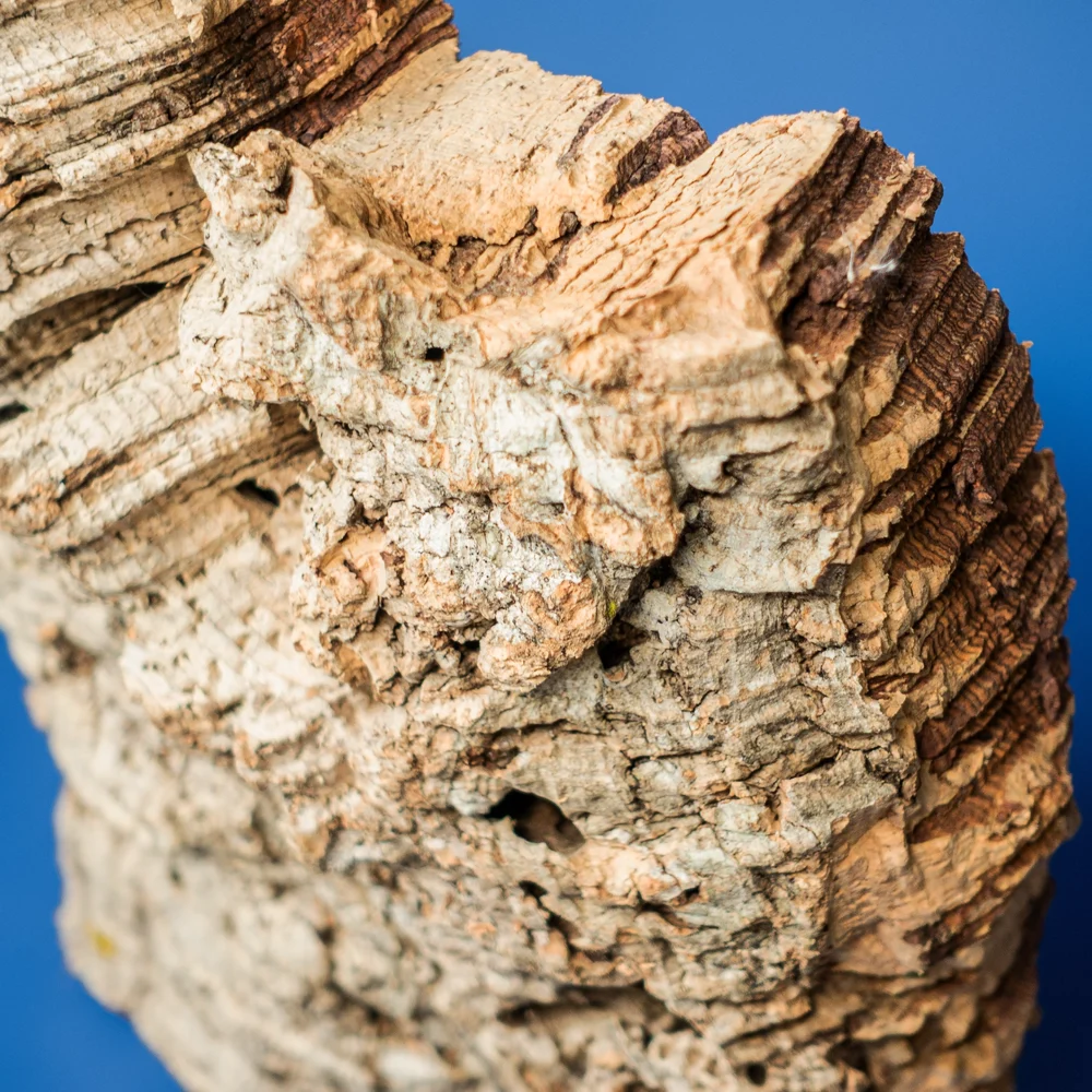 Scoarta de pluta naturala pentru decor hardscape si terarii tropicale