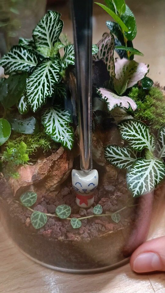 Instagram post from minimaterra. This post is in position 10.