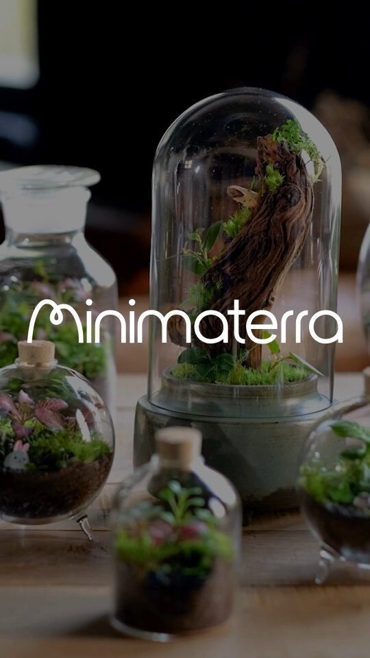 Instagram post from minimaterra. This post is in position 5.