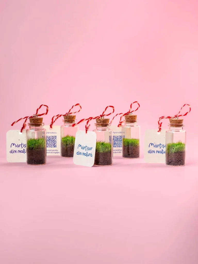 Instagram post from minimaterra. This post is in position 5.