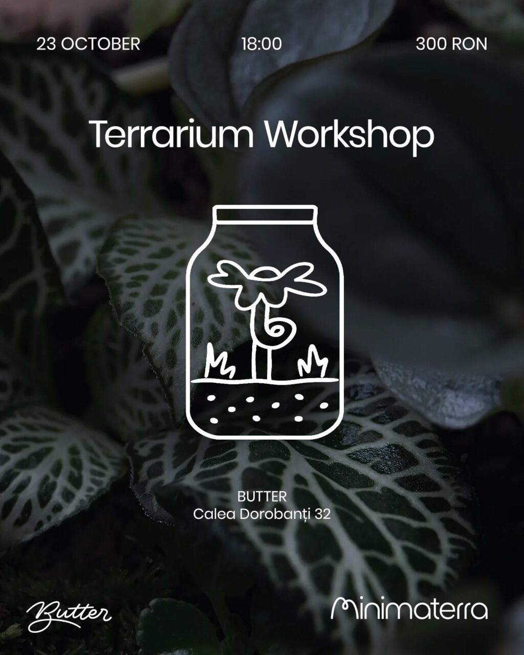 Instagram post from minimaterra. This post is in position 7.