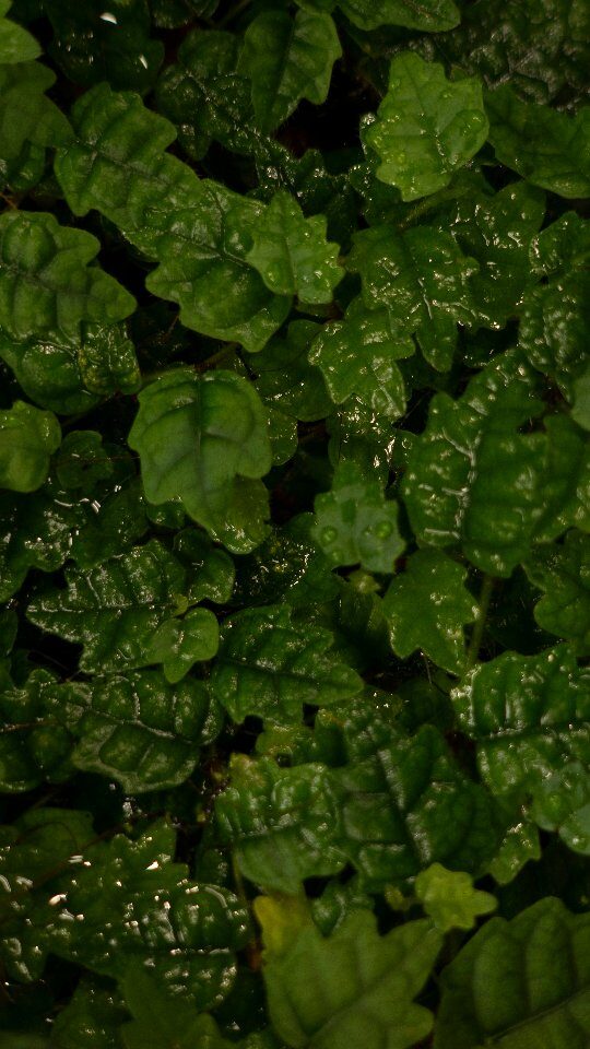 Instagram post from minimaterra. This post is in position 4.