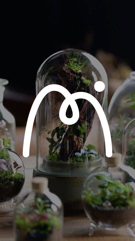 Instagram post from minimaterra. This post is in position 8.