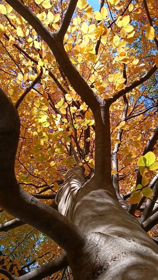 Instagram post from minimaterra. This post is in position 6.