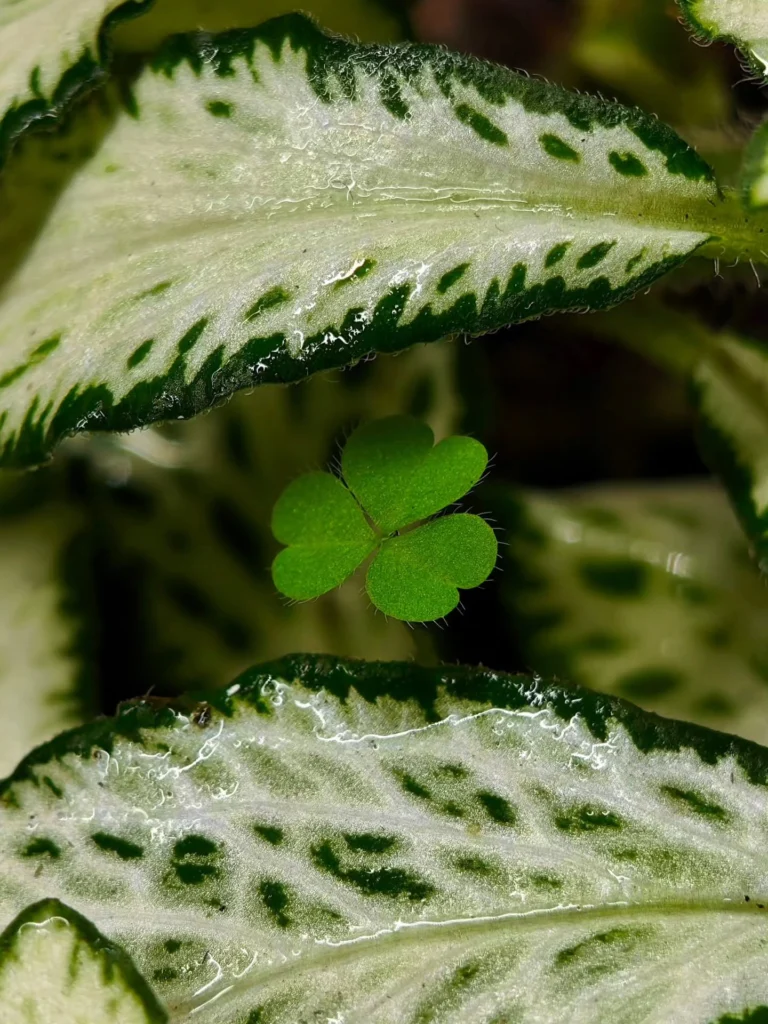 Instagram post from minimaterra. This post is in position 9.