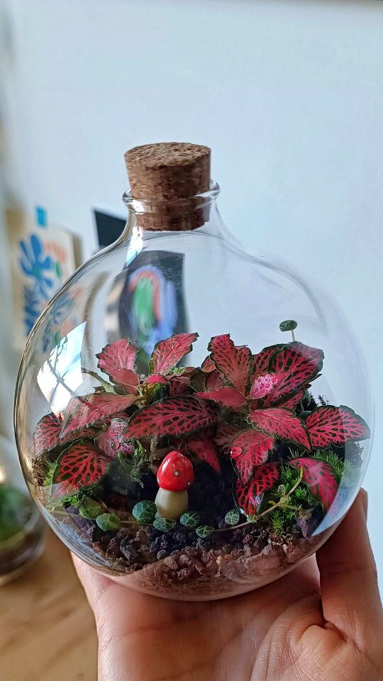 Instagram post from minimaterra. This post is in position 3.