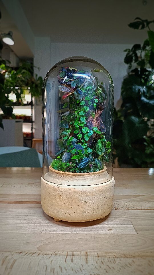 Instagram post from minimaterra. This post is in position 1.