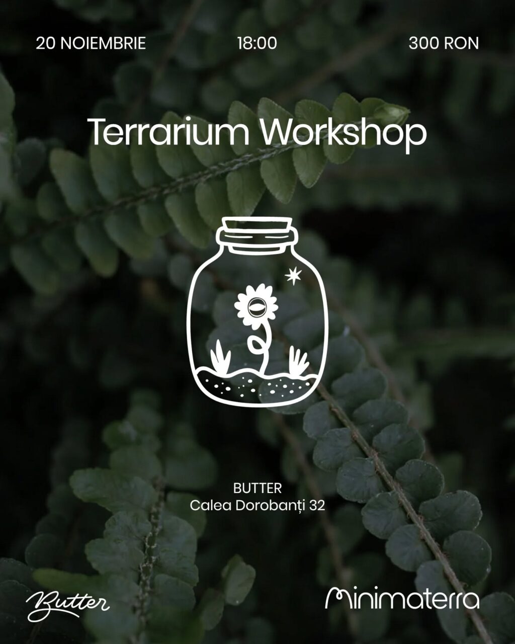 Instagram post from minimaterra. This post is in position 2.