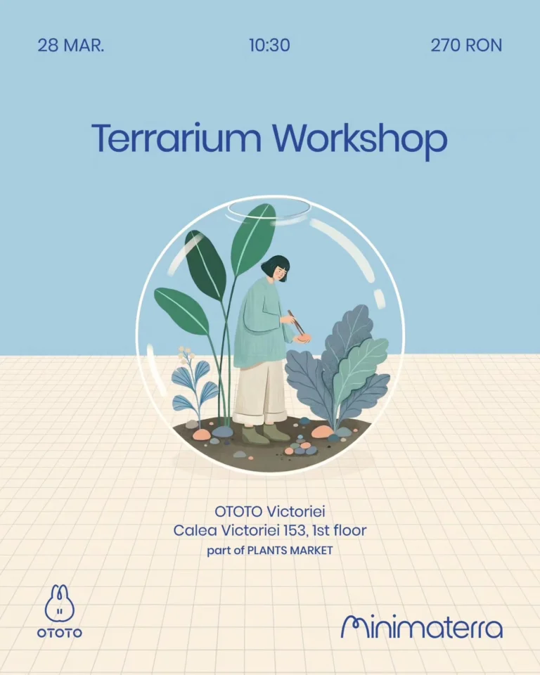 Instagram post from minimaterra. This post is in position 1.